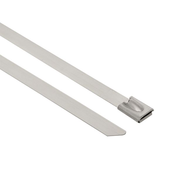 Хомут AISI 316 из нержавеющей стали, 4.6x520 (100 шт.) FlexLock PROxima