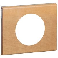 Изображение загружено из каталога картинок. //***VAD***//