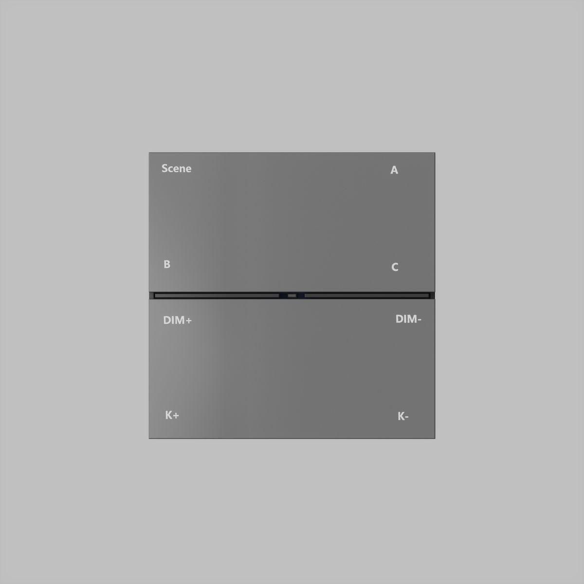 Панель управления Denkirs Control BT DK7201-DG